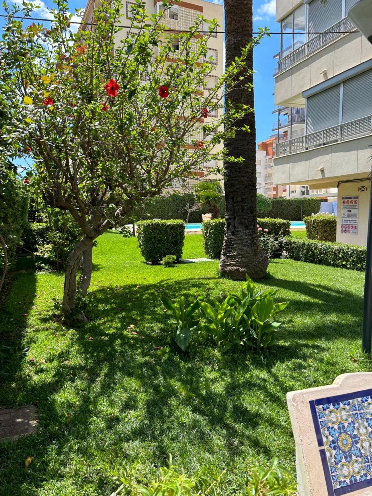 Apartamento Gandia Playa 150M Playa Con Parking Privado Y Piscina Playa de Gandia Esterno foto